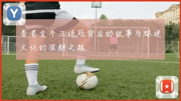 香港金牛三连冠背后的故事与球迷文化的深耕之路