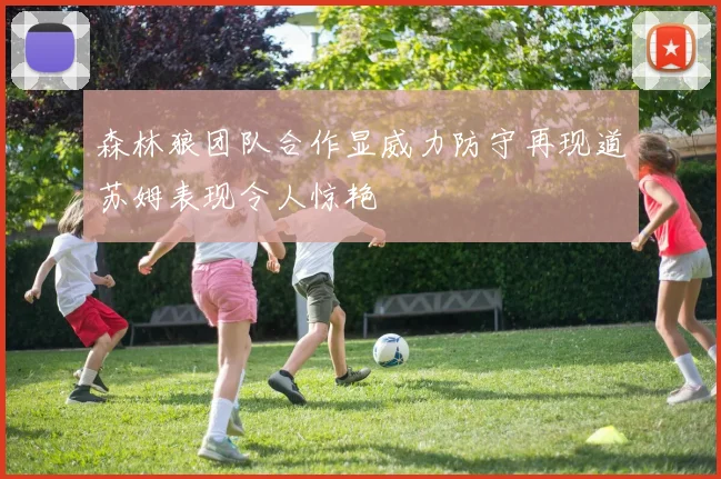 森林狼团队合作显威力防守再现道苏姆表现令人惊艳